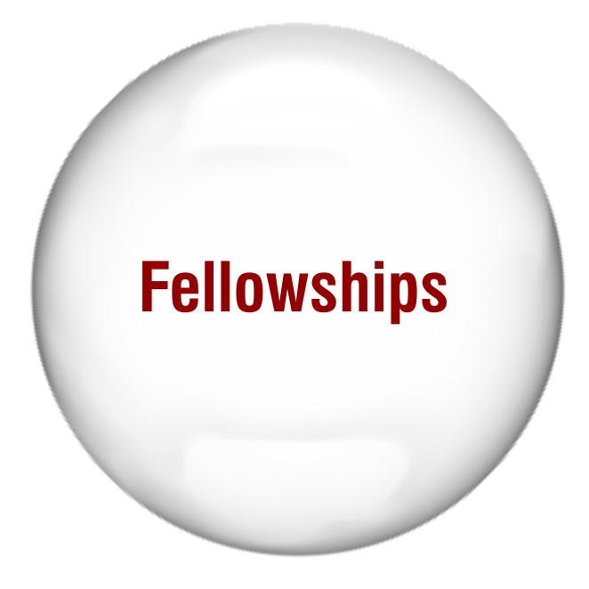 AIPU Fellowships